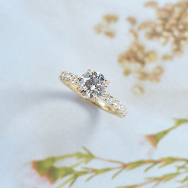 Hidden Halo Round Engagement Ring-side