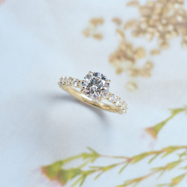 Hidden Halo Round Engagement Ring-top
