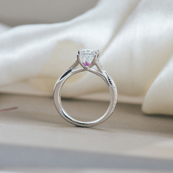 Princess Engagement Ring With Cathedral Trellis and Split-Shank Band-profile