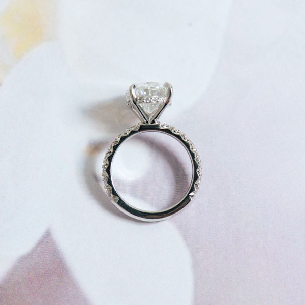 French Pavé Oval Engagement With Hidden Halo Between Claws - Profile