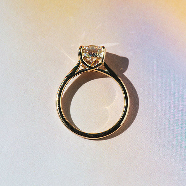 Round Hidden Halo Engagement Ring With Trellis - Profile