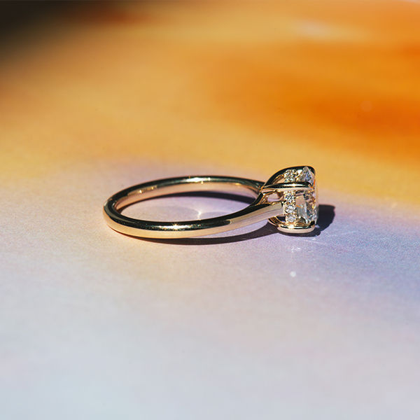 Round Hidden Halo Engagement Ring With Trellis - Side