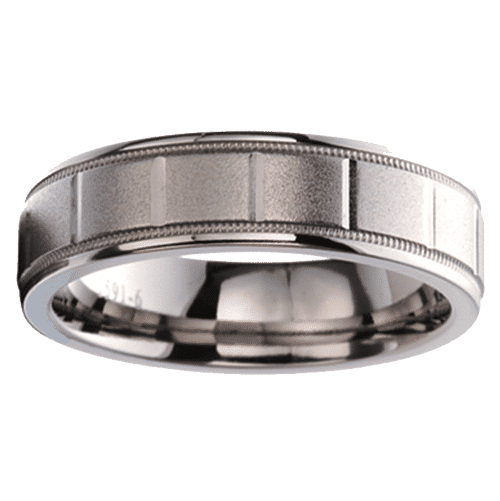 Panelled Titanium Ring