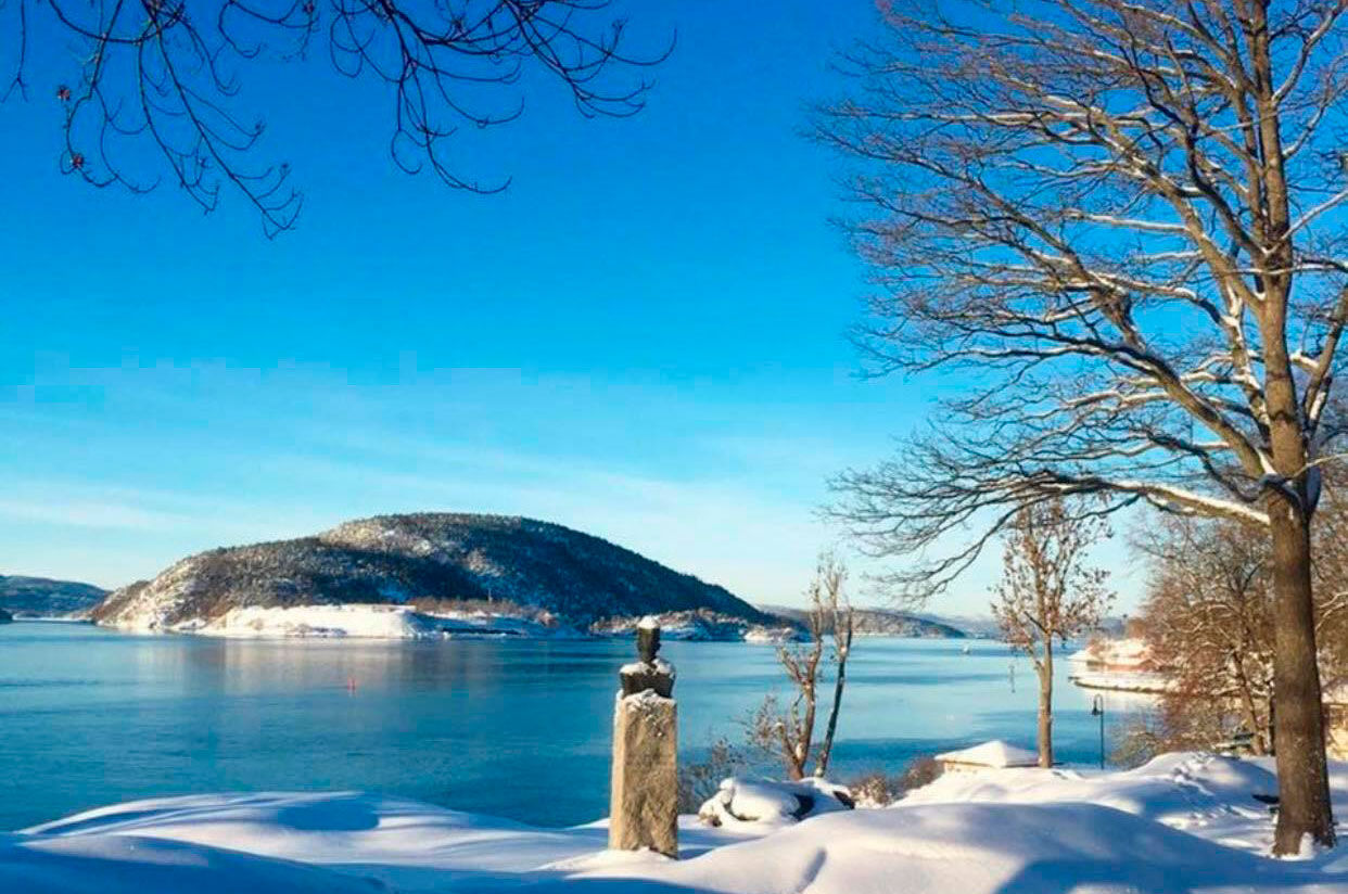 Vinterkledd Drøbak med utstikt til Oscarsborg