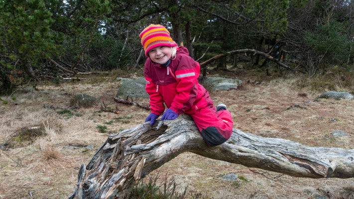 Jente klatrer på rot i naturen