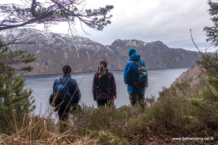 Beundrer utsikten utover fjorden