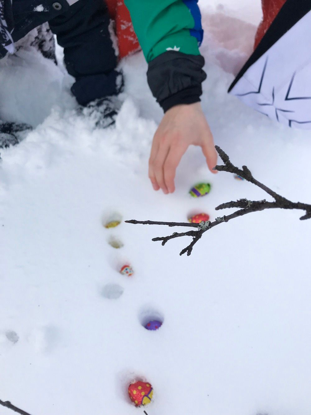 Egg i snøen