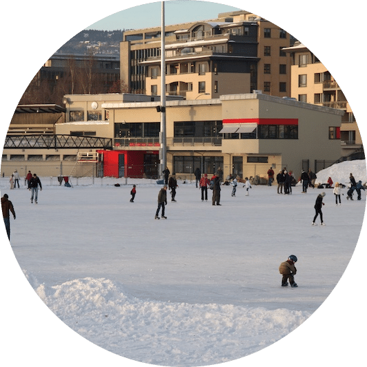 Vigelandsparken åpning