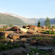 Tromsø arktisk alpine botanisk hage