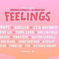 Festivalpass - Feelings Festival 2023