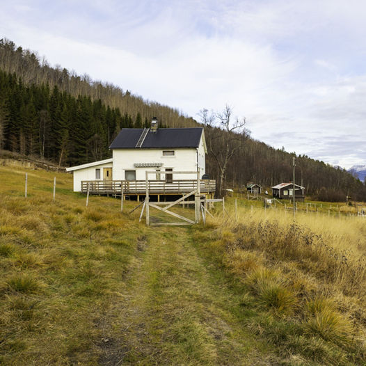 Fottur fra Nevervika til Kjervatnet