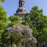 Oslo domkirke