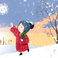 The Snowflake