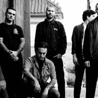 Stick To Your Guns