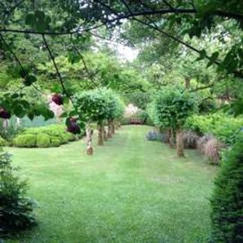 Charity Garden Opening - Woodfall Gardens