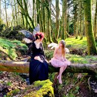 A Faerieland Picnic