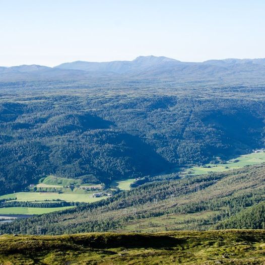 Fra Surnadal via Setersetra til Vindølbu