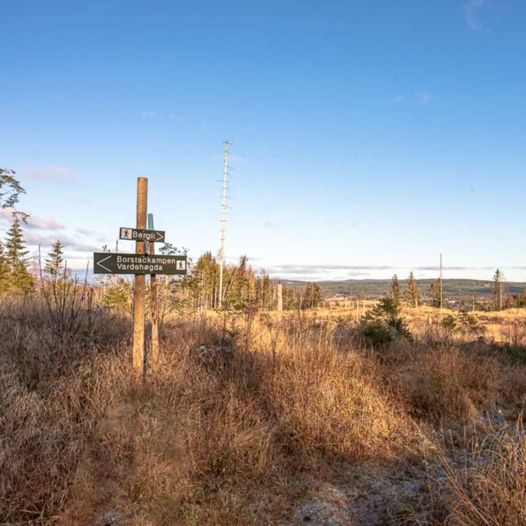 Borstadkampen til Vardehøgda