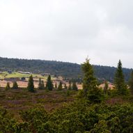 Fottur Nordseter - Hornsjøen