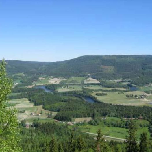 Harangen - Børjern- Høgdebøfjell