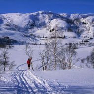 Skitur Ryfylkeheiane på langs