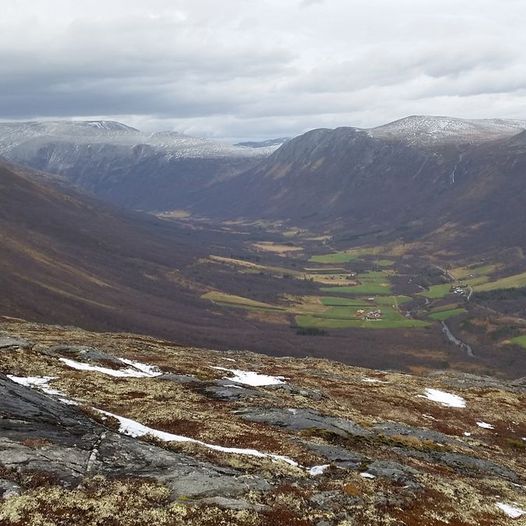 Sæterhaugen  1034 moh.