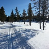 Grøsetvatnet, Lie-runden