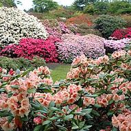 Stavanger Botaniske hage