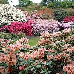 Stavanger Botaniske hage