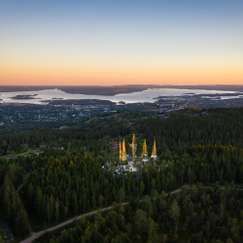 Roseslottet - Et moderne eventyr over Oslo