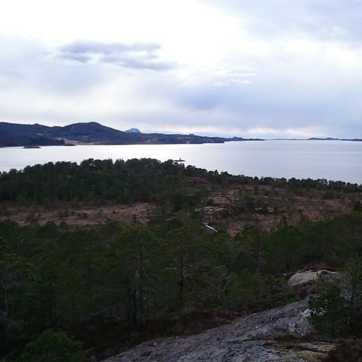 Halsa, Meløy - Furøyodden