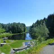 Baggehola - Ulvejølet - Botanisk hage