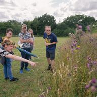 Eco-Explorer's Insect Journey