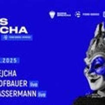 BORIS BREJCHA & Fckng Serious - ADDITIONAL VIP AREA