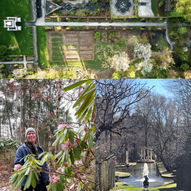 Vårvandring i Havlystparken på Ramme