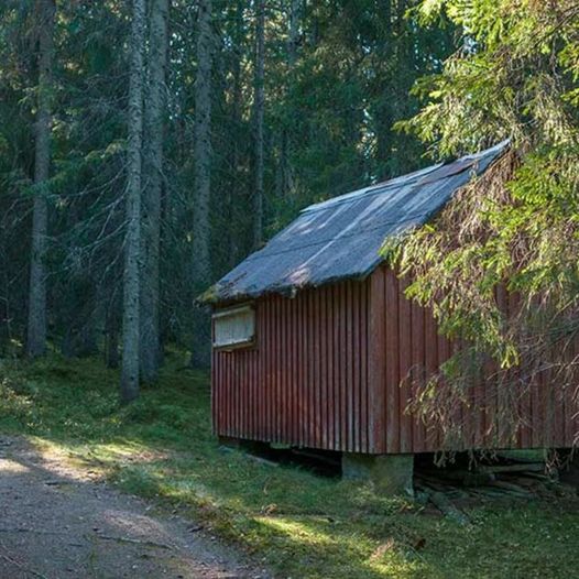 Skogstur fra Lunderåsen til Farshatten, Kopperudlia og Størsrudfjellet