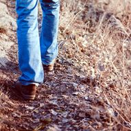 Guided Walk: Crossing the Pennines