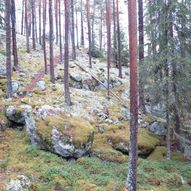 Topptur til Nedrenatten i Liagardane, Gol