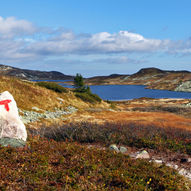 Lifjell Vest - fra Grimåsen til Store Tjorbuvatn