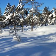 Skitur til Rislåknuten