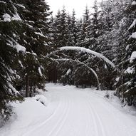 Skitur rundt Hollitjern, Rudstjern og Langmåsan