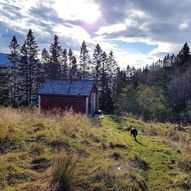 Agastølen,Solnuttrimmen