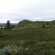 Skålsrudstølen til Butten med retur til Holmevann og Ranten Hotel - Kjerringsleppet 2015