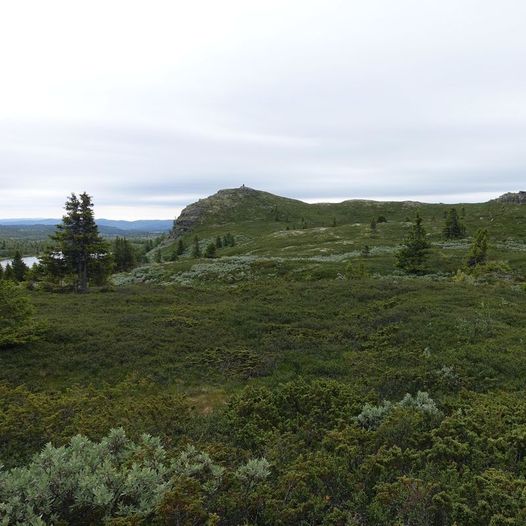 Skålsrudstølen til Butten med retur til Holmevann og Ranten Hotel - Kjerringsleppet 2015