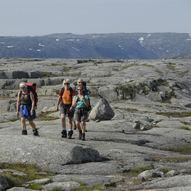 Melands Grønahei - Grasdalen