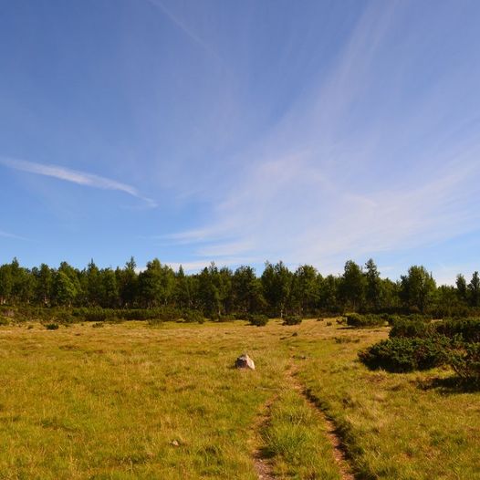 Vetåbua til Jammerdalsbu