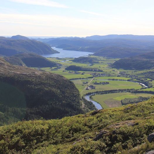  Rømmesfjellet (594 moh.)