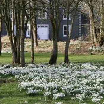 Charity Garden Opening - Barhill