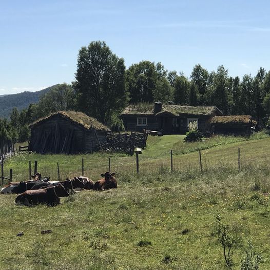 Seterveien Røros - Alvdal, del 2 Vingelen - Savalen