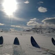 Nystadfjellet rundt